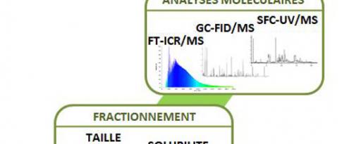 Descriptors of oxygenated matrices for lignocellulosic biomass conversion (HDR 2017)