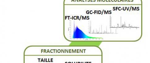 Descriptors of oxygenated matrices for lignocellulosic biomass conversion (HDR 2017)