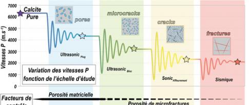 Characterization and modeling of the facies(a)-eogenesis(b) couple, initial state of carbonate reservoirs (HDR 2017)