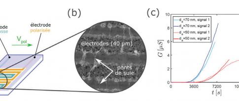 The detection, at a lower cost, of ultrafine exhaust gas soot particles