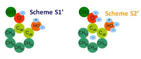 Review of a Chair on “thermodynamics for biomass fuels” 