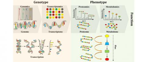 The “Omics”, seven hired hands working for biotechnology