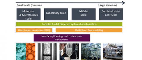 Coalescence and interfacial property: from the microscopic to the macroscopic