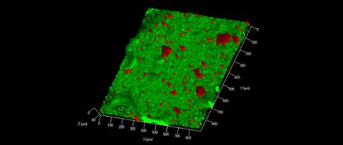 Biofilm development of bacteria for the production of biobased C3/C4 alcohols