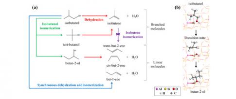 SC2 - Quantum calculation reveals key mechanisms for bio-based chemistry