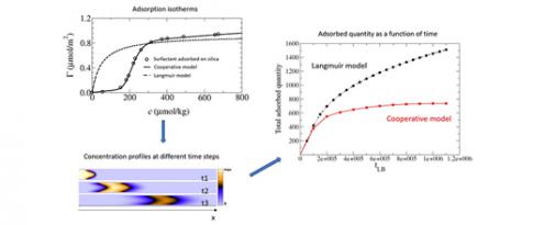 SC3 - Simulation of the adsorption/transport combination via a generalized lattice-boltzmann approach