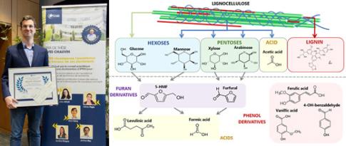 Yves Chauvin Prize: Metabolic engineering at the heart of bio-based processes