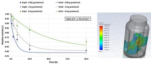 Improving the understanding of enzyme deactivation during lignocellulosic biomass hydrolysis