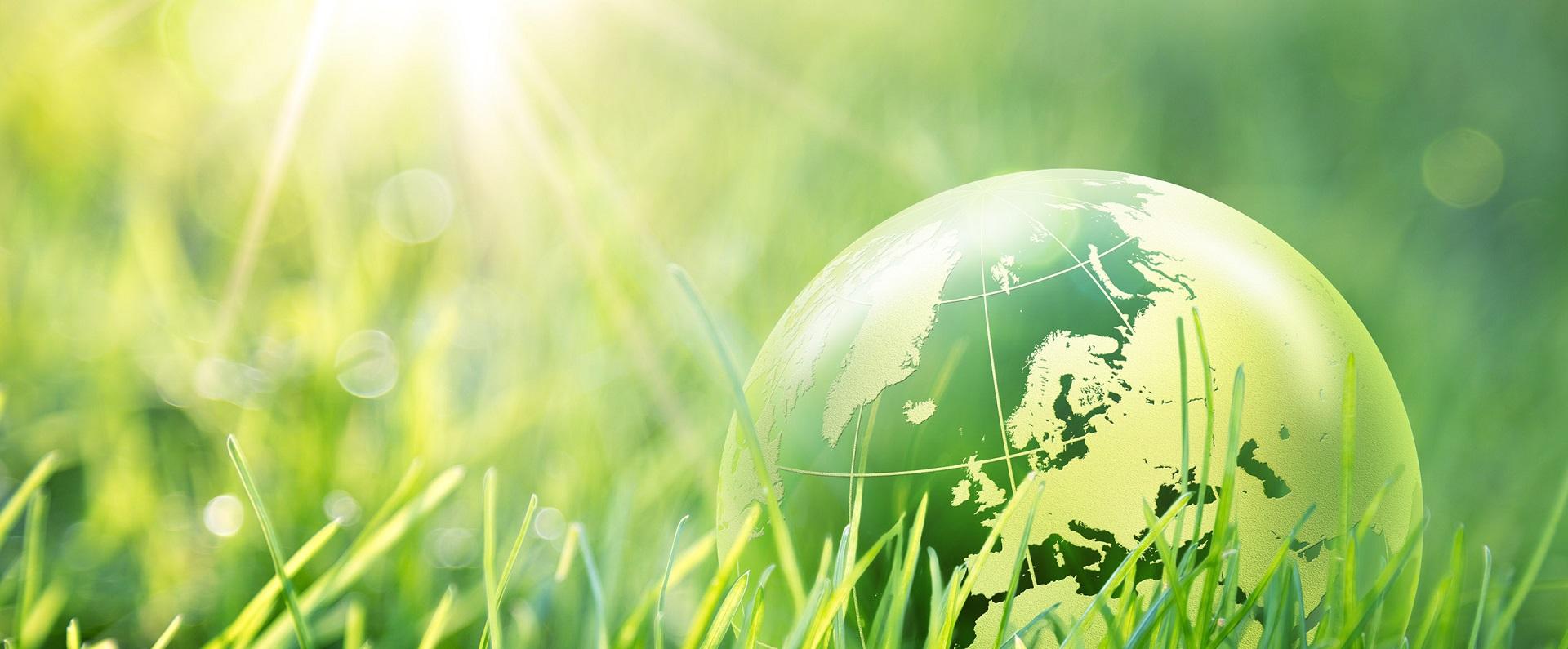 Issues and Foresight