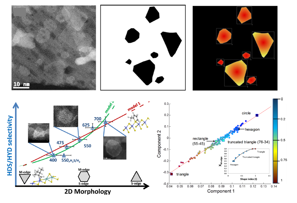 Quantitative 2D morphology–selectivity relationship of CoMoS nano-layers: a combined HR HAADF-STEM and DFT study